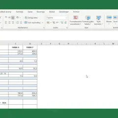 Arkusz kalkulacyjny Excel z danymi finansowymi firm, w tym przychodami, kosztami i zyskiem.
