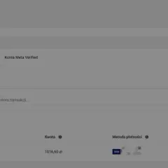 Widok panelu Meta, gdzie można zobaczyć aktywność płatności i jak pobrać fakturę z Facebooka.