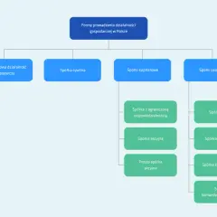 Schemat form prowadzenia działalności gospodarczej w Polsce. Pomaga wybrać, jaką spółkę wybrać: jednoosobową, cywilną, kapitałową czy osobową.