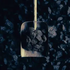 Łopata z węglem na tle zwałów. Dowiedz się, jak uzyskać dofinansowanie do węgla, by ogrzać dom.