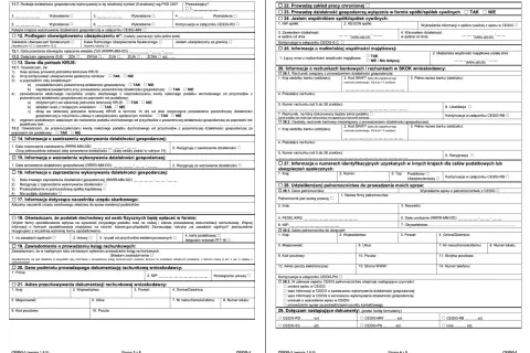 Formularz CEIDG-1 z polami do wypełnienia dotyczącymi działalności gospodarczej.