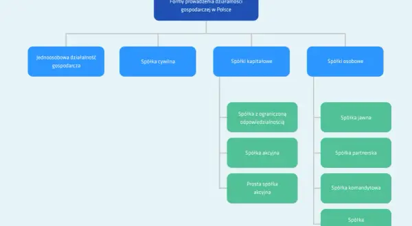 Schemat form prowadzenia działalności gospodarczej w Polsce. Pomaga wybrać, jaką spółkę wybrać: jednoosobową, cywilną, kapitałową czy osobową.