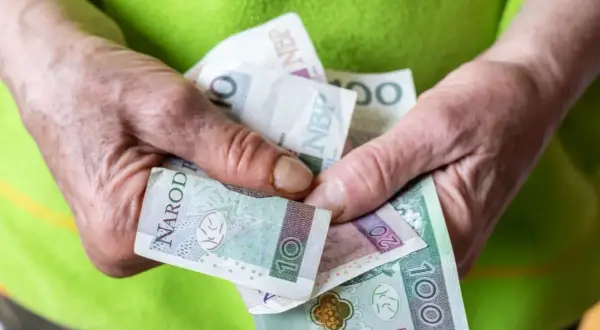 Dłonie trzymają polskie banknoty: 10, 20 i 100 zł. To może być wsparcie z tytułu renta socjalna.