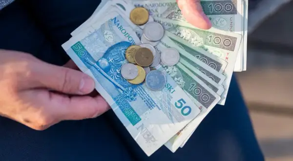 Dłonie trzymają polskie banknoty i monety. Symbolizują one wsparcie finansowe, jak renta rodzinna dla wdowy po ukończeniu 50 lat.