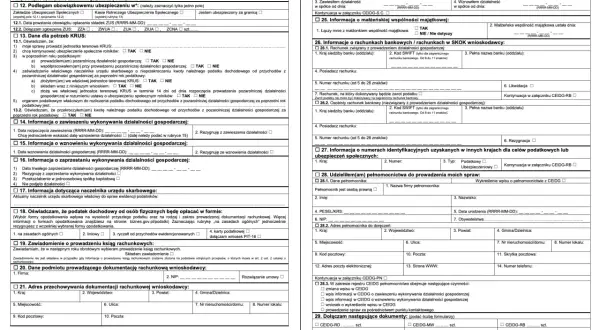 Formularz CEIDG-1 z polami do wypełnienia dotyczącymi działalności gospodarczej.