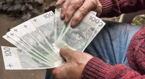 Dłonie trzymające banknoty 100 zł. Może to być wypłata renty inwalidzkiej.