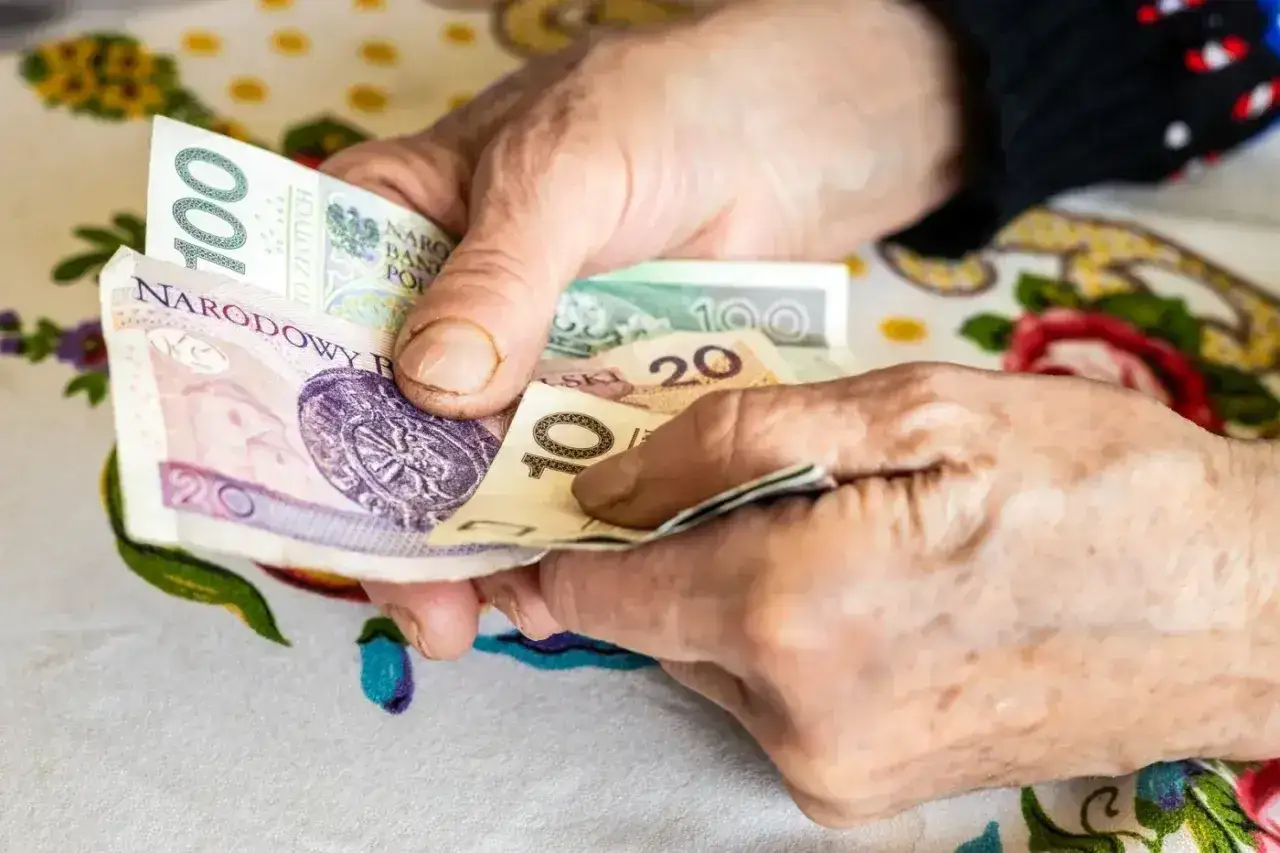 Dłonie liczą banknoty 10, 20 i 100 zł. To może być pomoc w utrzymaniu, jak renta socjalna.